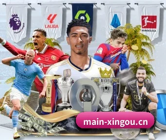 星欧娱乐 APP - XINGOU